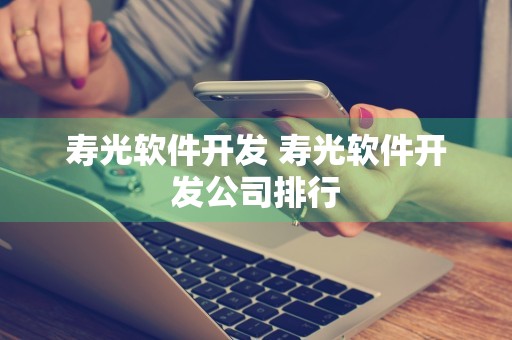 寿光软件开发 寿光软件开发公司排行