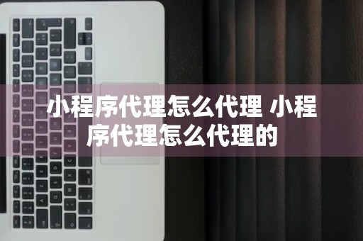 小程序代理怎么代理 小程序代理怎么代理的