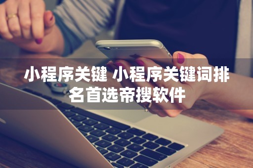 小程序关键 小程序关键词排名首选帝搜软件