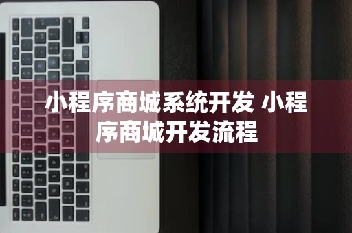 小程序商城系统开发 小程序商城开发流程