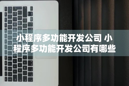 小程序多功能开发公司 小程序多功能开发公司有哪些