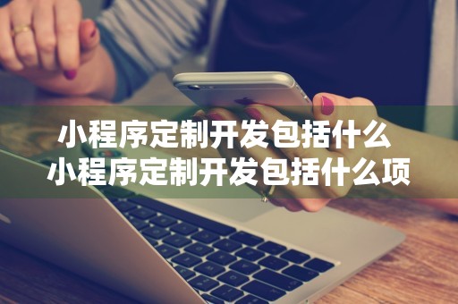 小程序定制开发包括什么 小程序定制开发包括什么项目