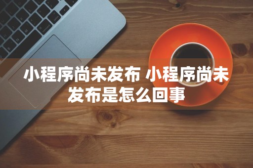 小程序尚未发布 小程序尚未发布是怎么回事