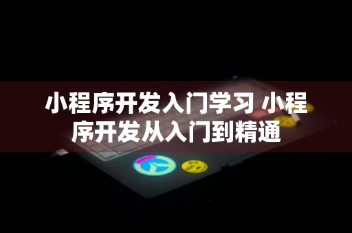 小程序开发入门学习 小程序开发从入门到精通