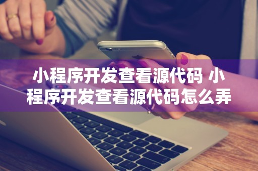 小程序开发查看源代码 小程序开发查看源代码怎么弄