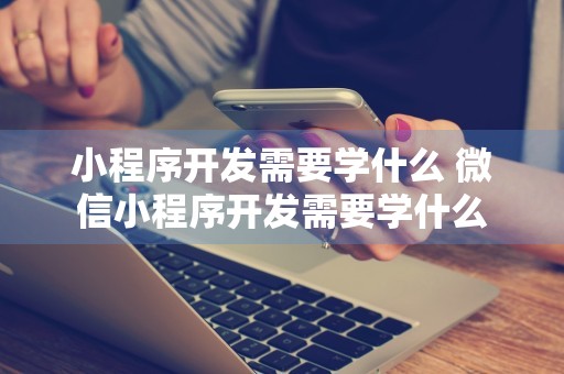 小程序开发需要学什么 微信小程序开发需要学什么