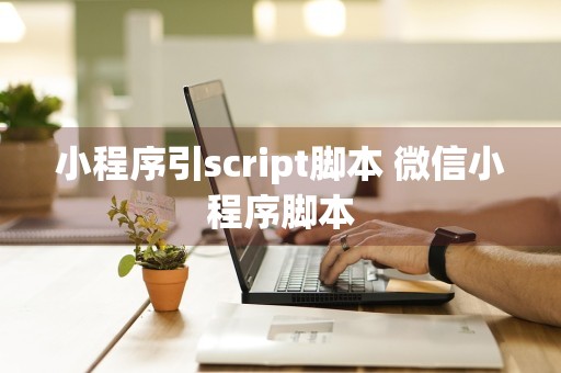 小程序引script脚本 微信小程序脚本