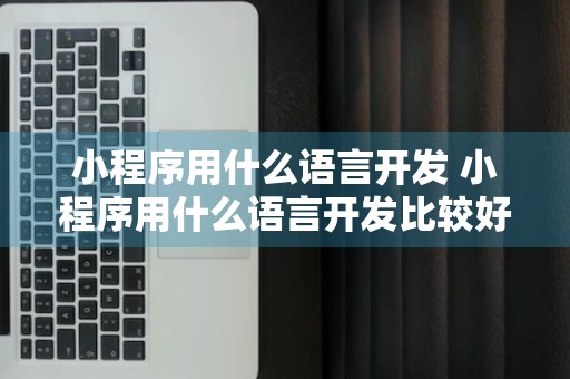 小程序用什么语言开发 小程序用什么语言开发比较好