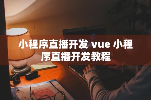 小程序直播开发 vue 小程序直播开发教程