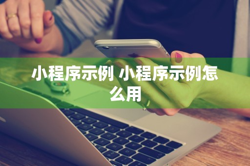 小程序示例 小程序示例怎么用