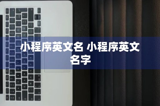 小程序英文名 小程序英文名字