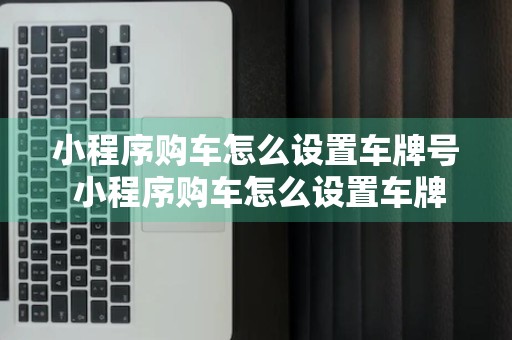 小程序购车怎么设置车牌号 小程序购车怎么设置车牌号查询