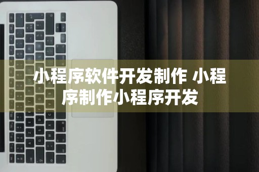 小程序软件开发制作 小程序制作小程序开发