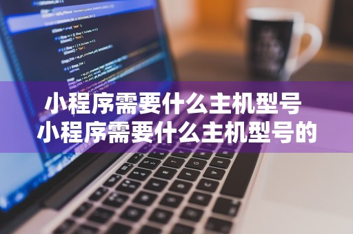 小程序需要什么主机型号 小程序需要什么主机型号的