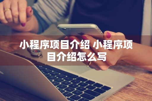 小程序项目介绍 小程序项目介绍怎么写