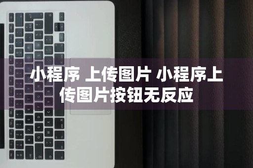 小程序 上传图片 小程序上传图片按钮无反应