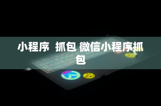 小程序  抓包 微信小程序抓包