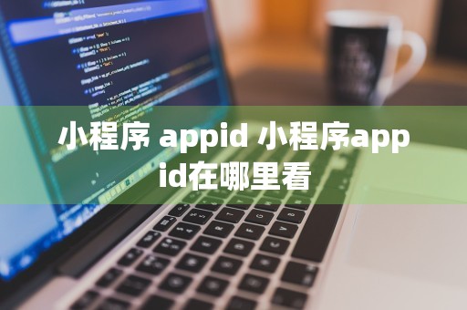 小程序 appid 小程序appid在哪里看