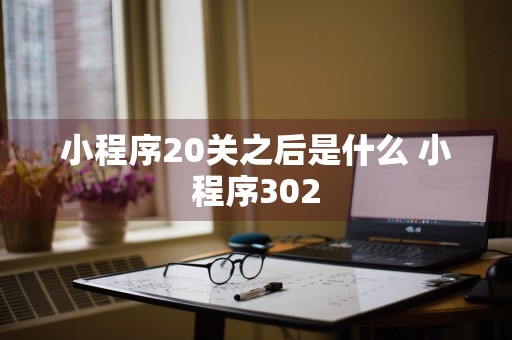 小程序20关之后是什么 小程序302