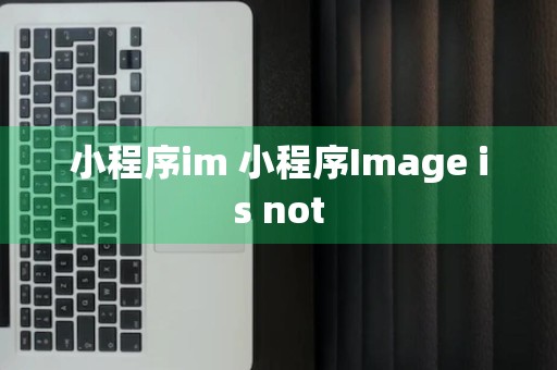 小程序im 小程序Image is not