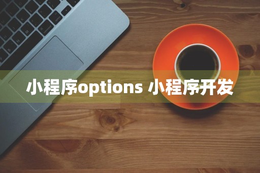 小程序options 小程序开发