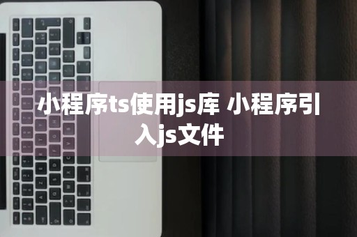 小程序ts使用js库 小程序引入js文件