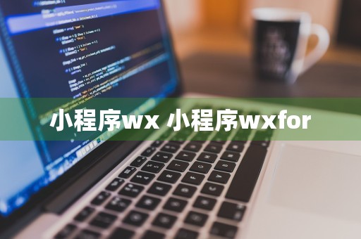 小程序wx 小程序wxfor