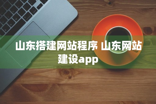 山东搭建网站程序 山东网站建设app