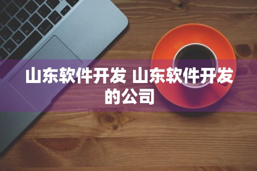 山东软件开发 山东软件开发的公司