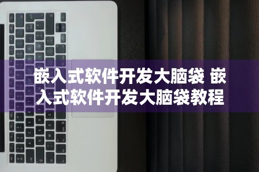 嵌入式软件开发大脑袋 嵌入式软件开发大脑袋教程