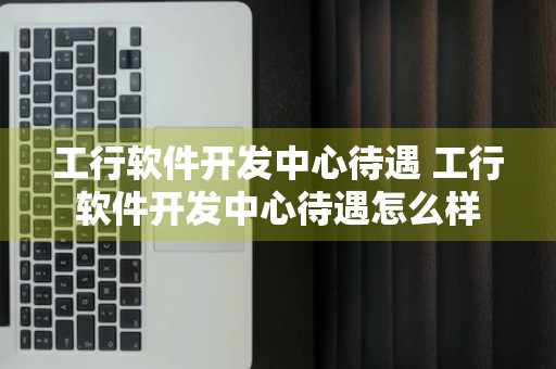 工行软件开发中心待遇 工行软件开发中心待遇怎么样