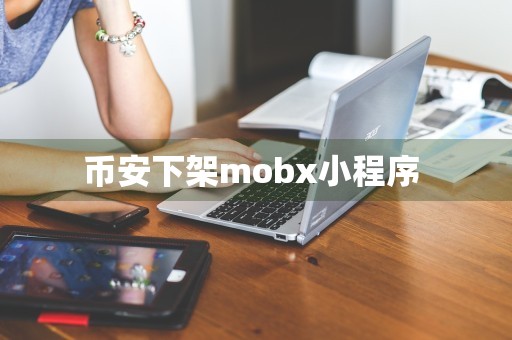 币安下架mobx小程序 