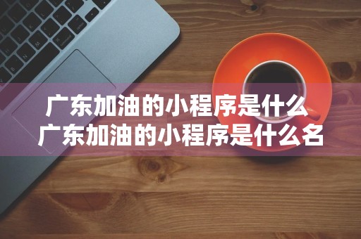 广东加油的小程序是什么 广东加油的小程序是什么名字