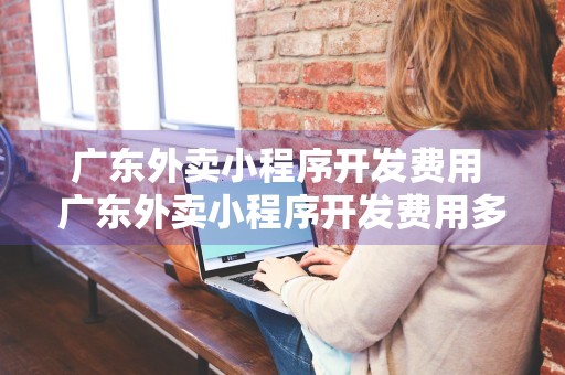 广东外卖小程序开发费用 广东外卖小程序开发费用多少