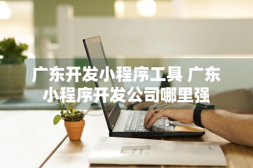 广东开发小程序工具 广东小程序开发公司哪里强