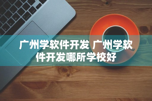 广州学软件开发 广州学软件开发哪所学校好