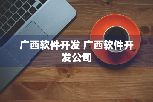 广西软件开发 广西软件开发公司