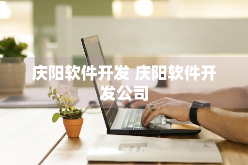 庆阳软件开发 庆阳软件开发公司