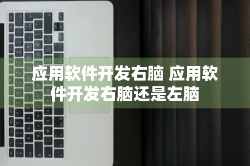 应用软件开发右脑 应用软件开发右脑还是左脑