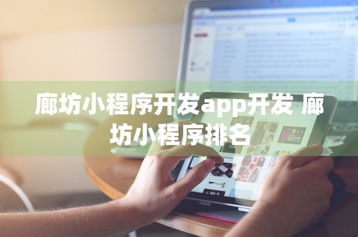 廊坊小程序开发app开发 廊坊小程序排名