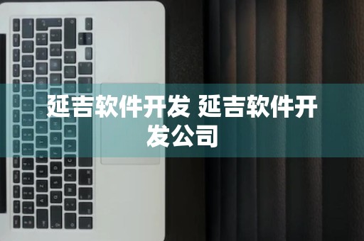 延吉软件开发 延吉软件开发公司