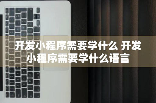 开发小程序需要学什么 开发小程序需要学什么语言