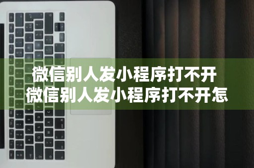 微信别人发小程序打不开 微信别人发小程序打不开怎么回事