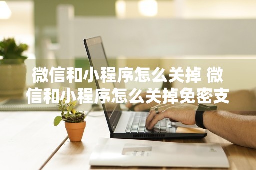 微信和小程序怎么关掉 微信和小程序怎么关掉免密支付