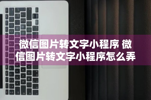 微信图片转文字小程序 微信图片转文字小程序怎么弄