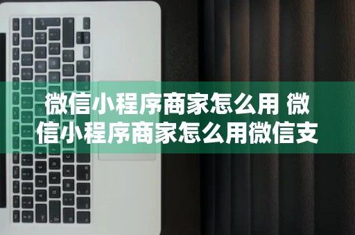 微信小程序商家怎么用 微信小程序商家怎么用微信支付