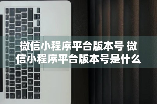 微信小程序平台版本号 微信小程序平台版本号是什么