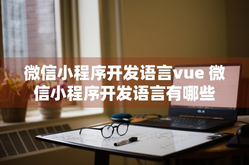 微信小程序开发语言vue 微信小程序开发语言有哪些