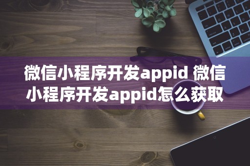 微信小程序开发appid 微信小程序开发appid怎么获取