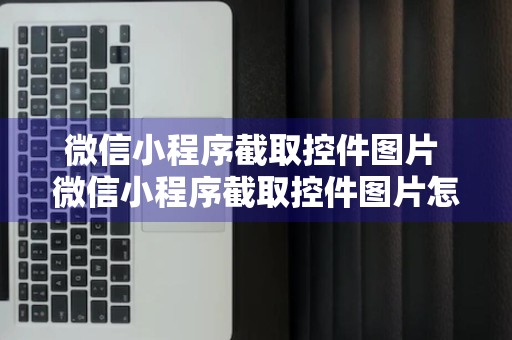 微信小程序截取控件图片 微信小程序截取控件图片怎么弄